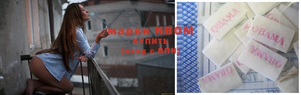 стаф Баксан