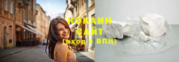 молекула духа Осташков