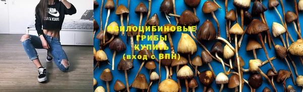 стаф Баксан