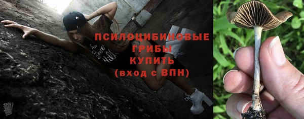 стаф Баксан