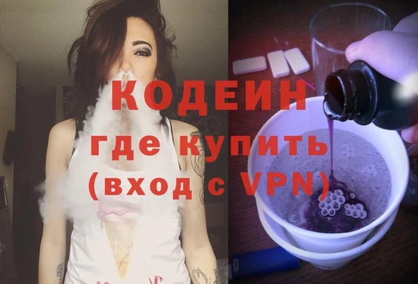 молекула духа Осташков